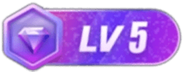 等级-LV5-仄言资源社