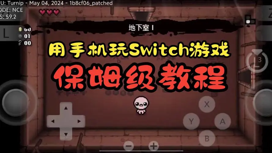 安卓玩switch游戏保姆教程(快来看呀！)-仄言资源社