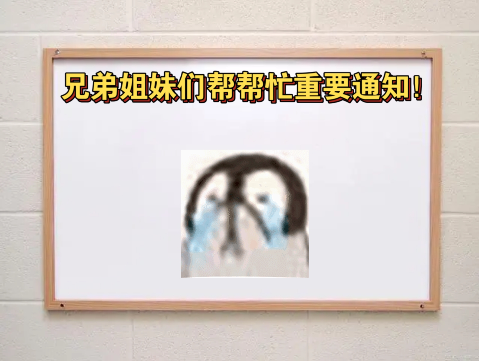 兄弟姐妹们帮帮忙重要通知！！！！-仄言资源社
