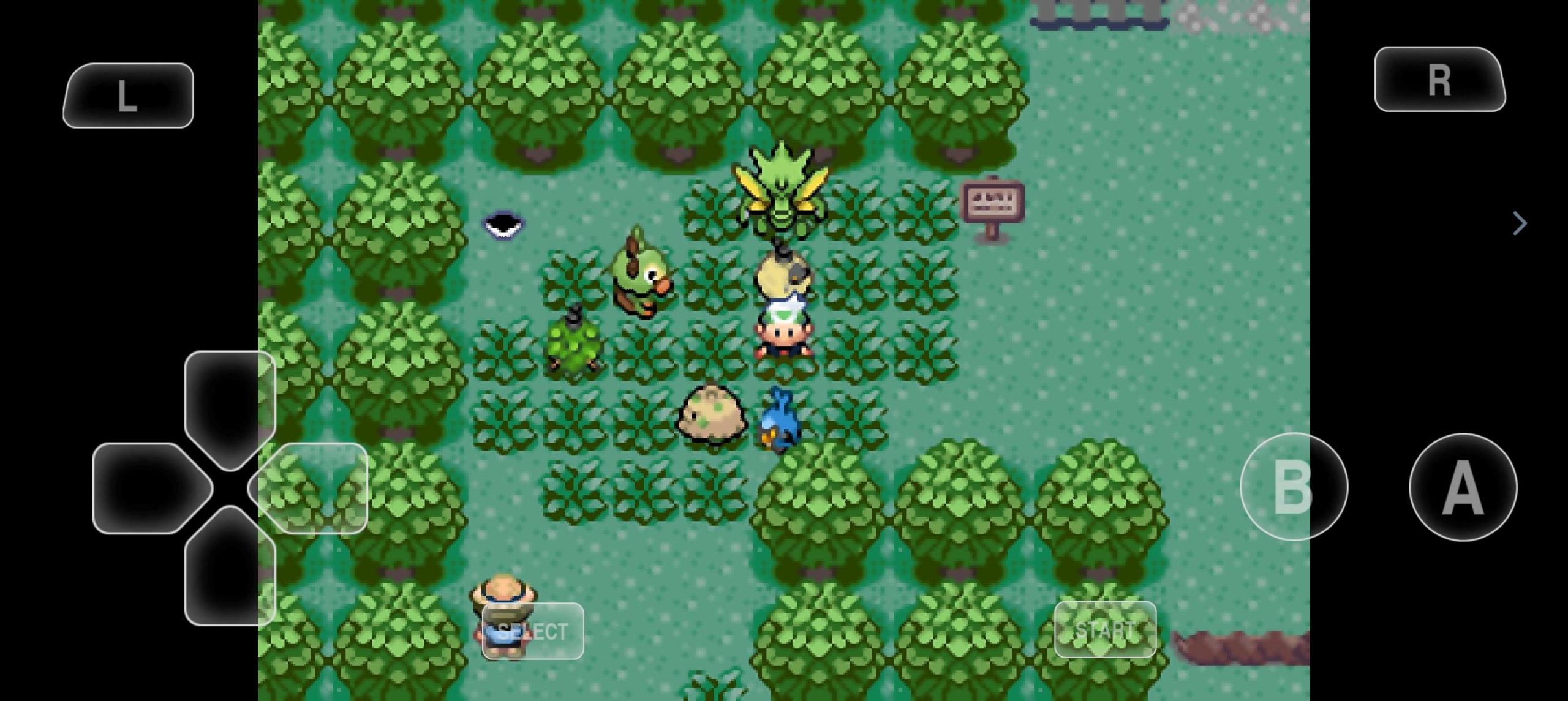 图片[2]-安卓手机游戏《口袋妖怪格查尔》支持4人同屏联机的GBA宝可梦你敢信嘛！-仄言资源社