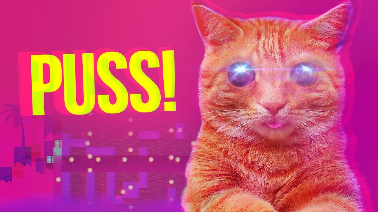 安卓手机游戏《PUSS喵咪v1.3.7》[完整版]Steam移植-仄言资源社