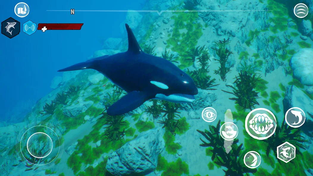 图片[3]-安卓手机游戏《食人鲨Maneater》[完整版]Steam移植最新移植3A大作开放世界RPG游戏游玩推荐！-仄言资源社