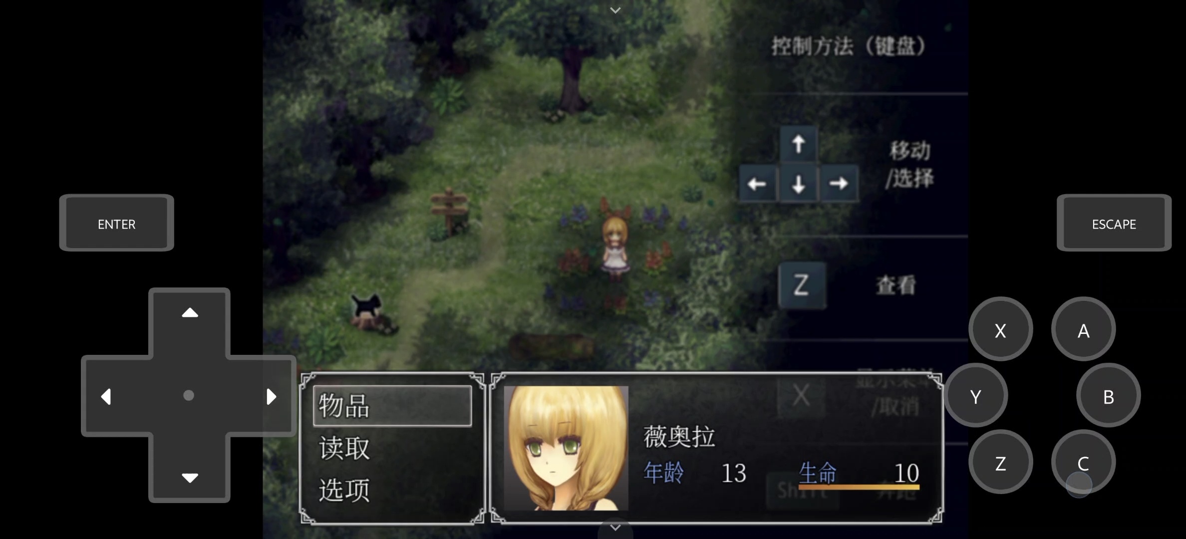 图片[2]-安卓手机游戏《魔女之家汉化版》[完整版]Steam移植中文毫无疑问是恐怖解密RPG的经典之作！-仄言资源社